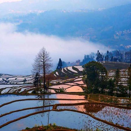 Green Hostel & Sunny Guesthouse Yuanyang  Eksteriør bilde