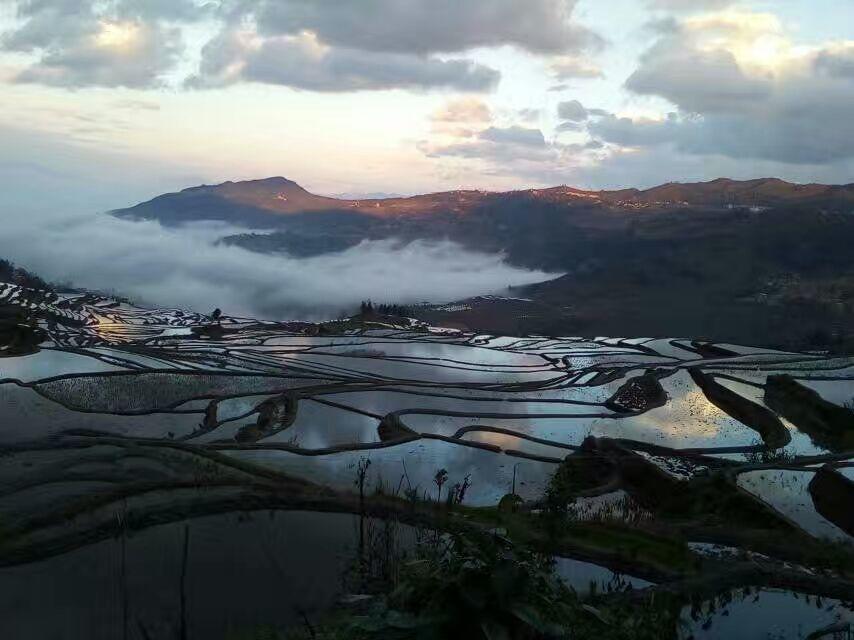 Green Hostel & Sunny Guesthouse Yuanyang  Eksteriør bilde